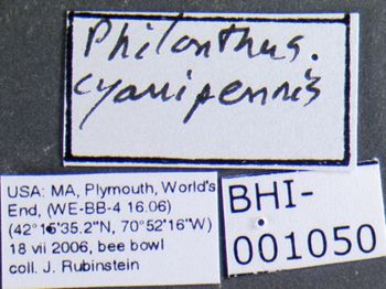 Media type: image;   Entomology 601682 Aspect: labels